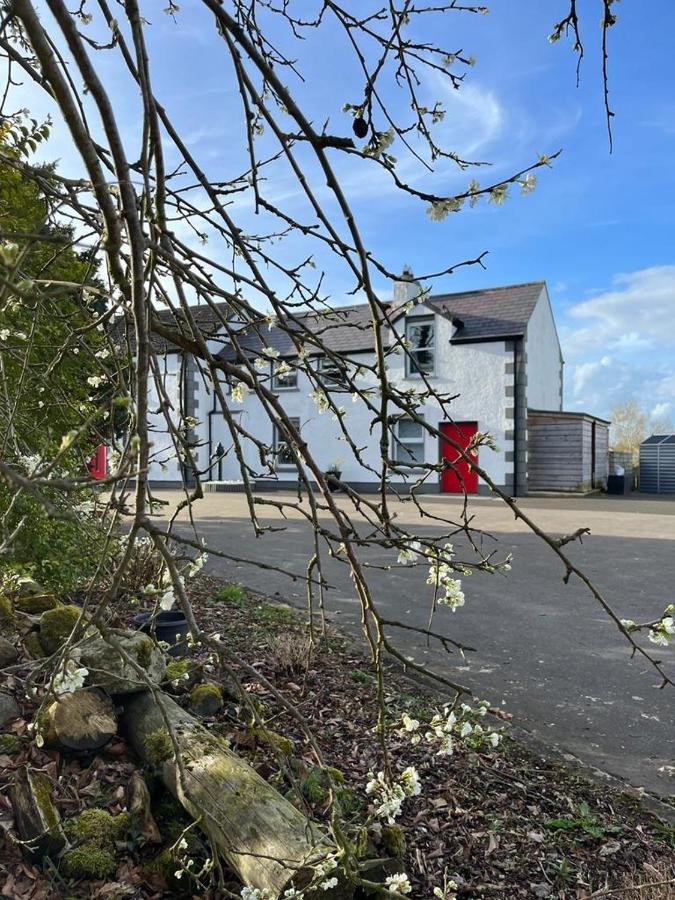 Willow House Bed & Breakfast And Orchard Studios Self Catering Limavady Eksteriør bilde